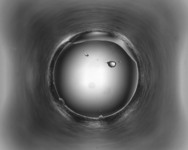 X0000087520439200704271143