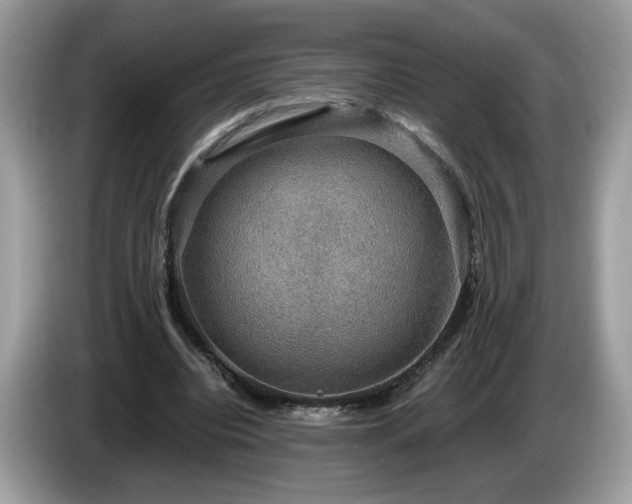 X0000087520440200704271143