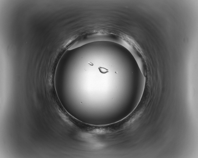 X0000087520441200704271143