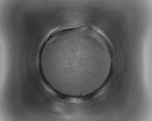 X0000087520442200704271143