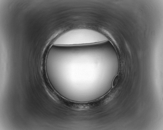 X0000087520443200704271143