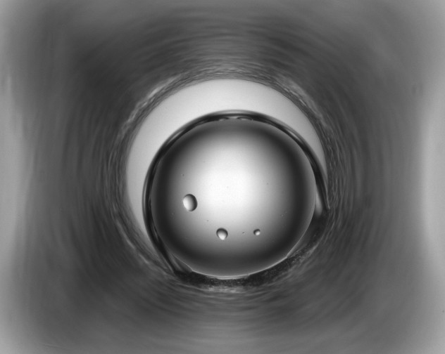 X0000087520444200704271143