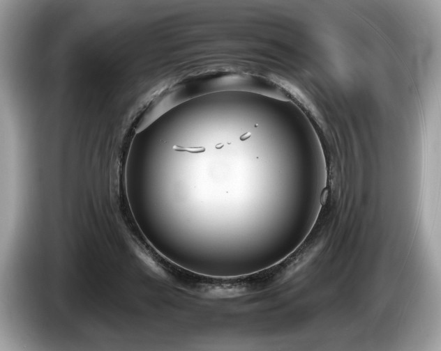X0000087520445200704271143