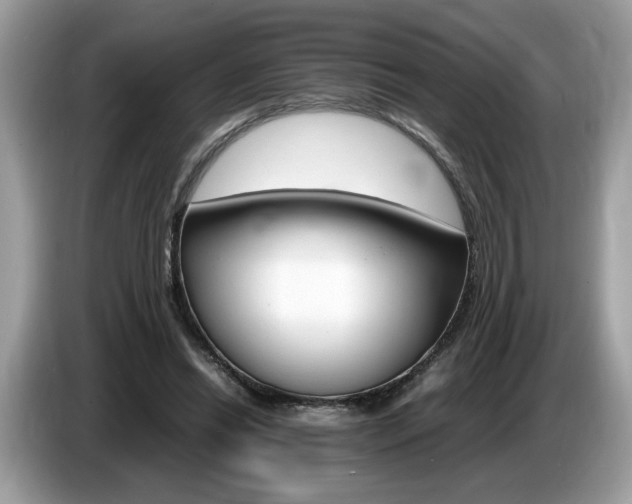 X0000087520446200704271143