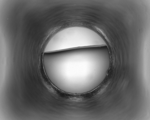 X0000087520447200704271143