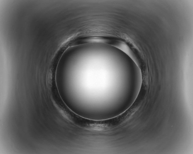 X0000087520448200704271143