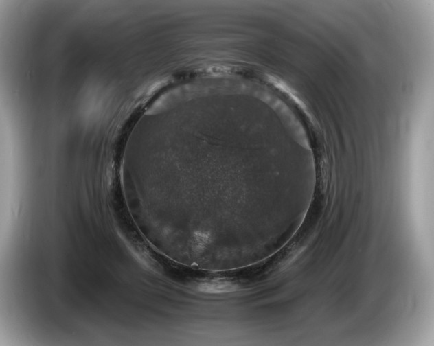 X0000087520451200704271143