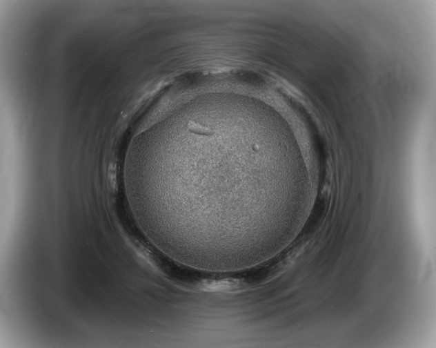 X0000087520452200704271143