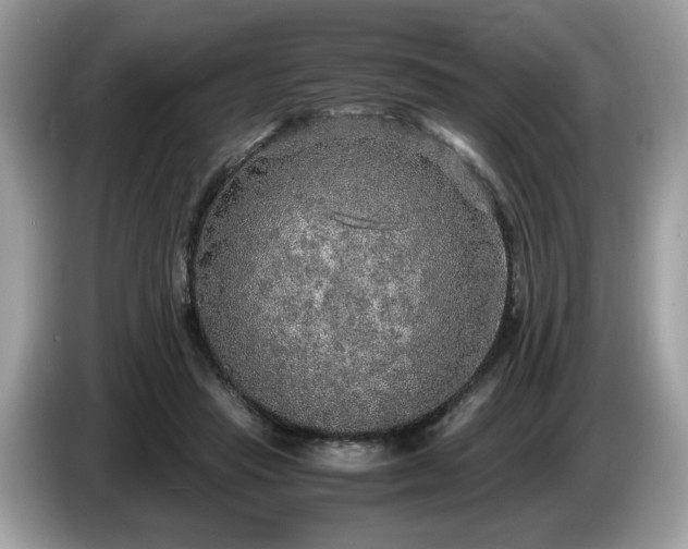 X0000087520453200704271143