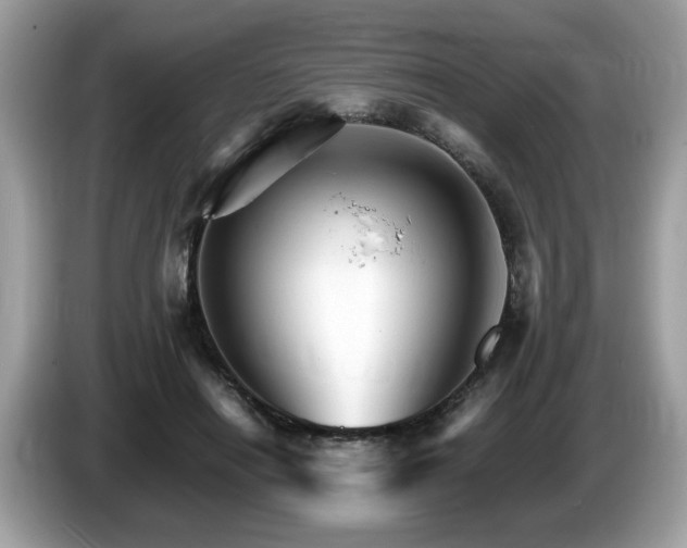 X0000087520454200704271143