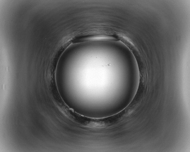 X0000087520455200704271143