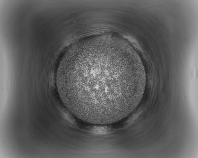 X0000087520457200704271143