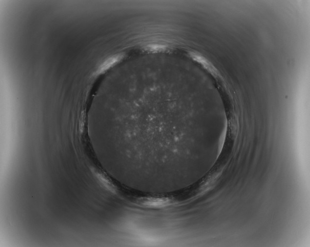 X0000087520458200704271143