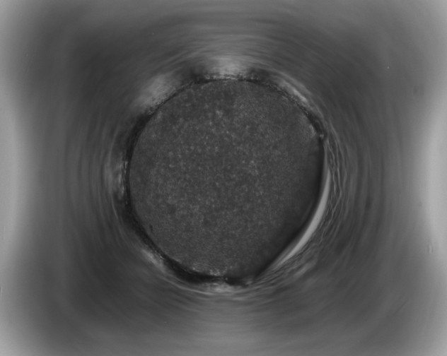 X0000087520462200704271143