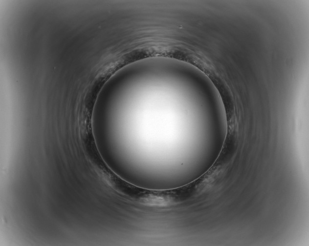 X0000087520464200704271143