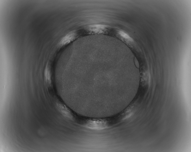 X0000087520466200704271143