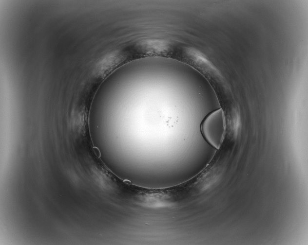 X0000087520468200704271143