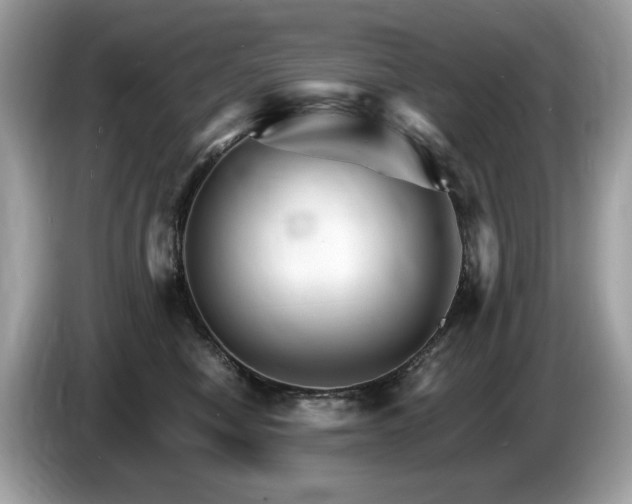 X0000087520470200704271143