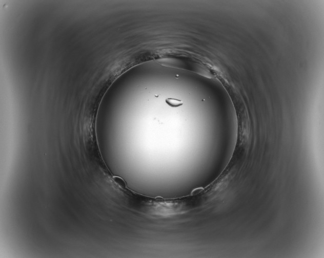 X0000087520473200704271143