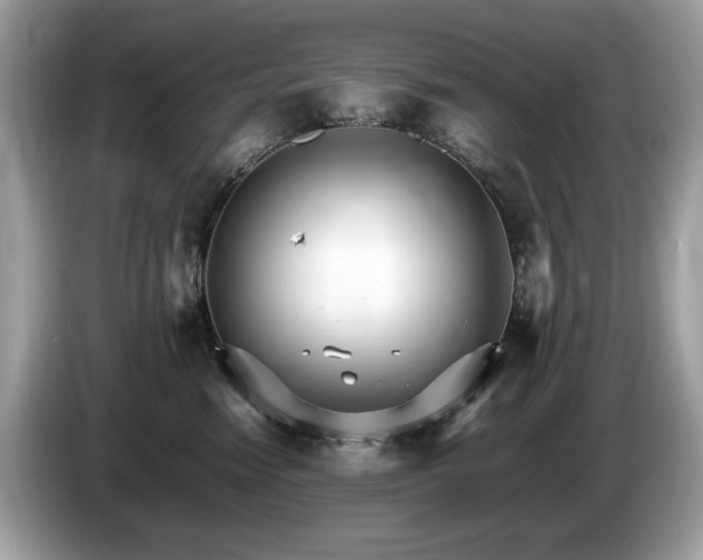 X0000087520474200704271143