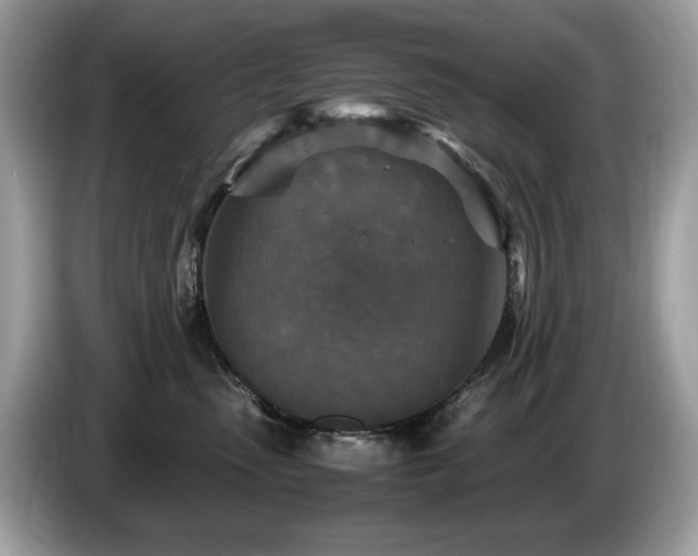 X0000087520475200704271143