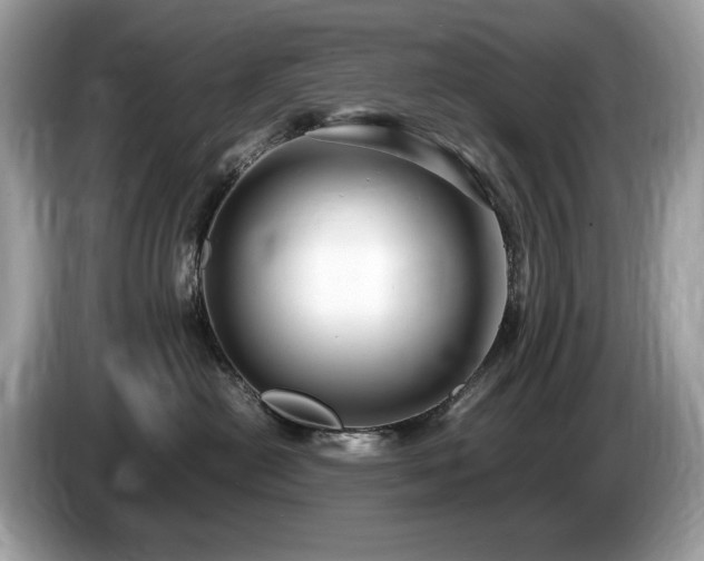 X0000087520478200704271143