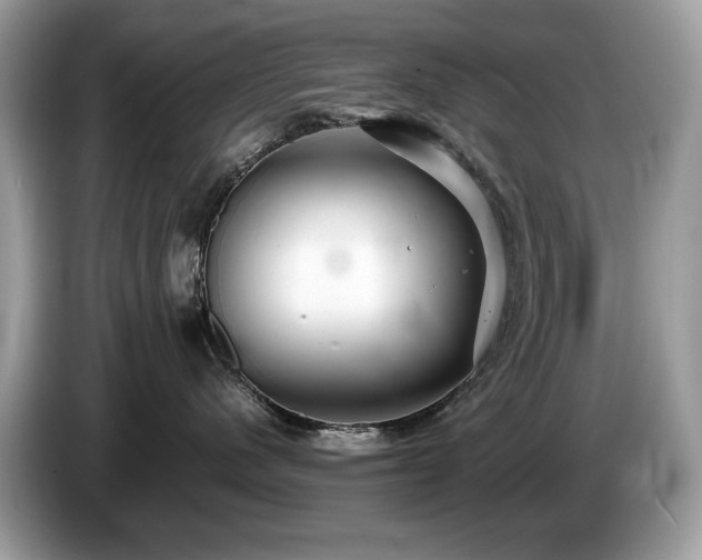 X0000087520480200704271143