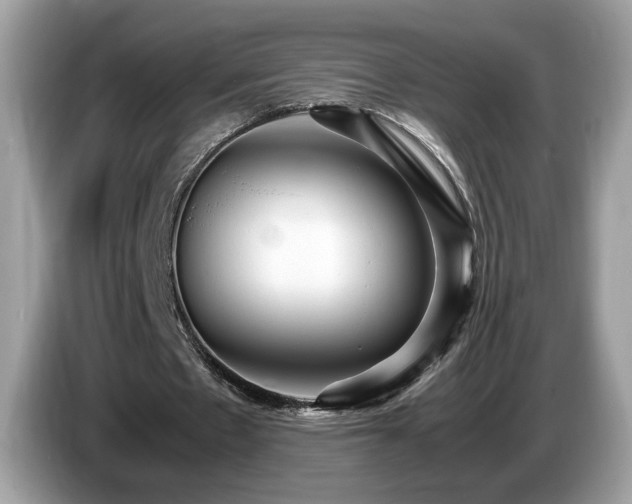 X0000087520481200704271143