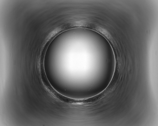 X0000087520482200704271143