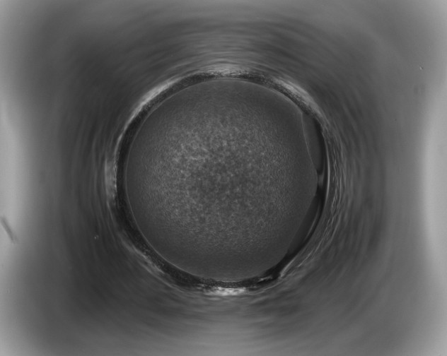 X0000087520484200704271143