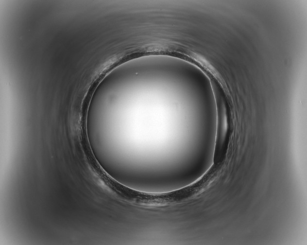 X0000087520485200704271143