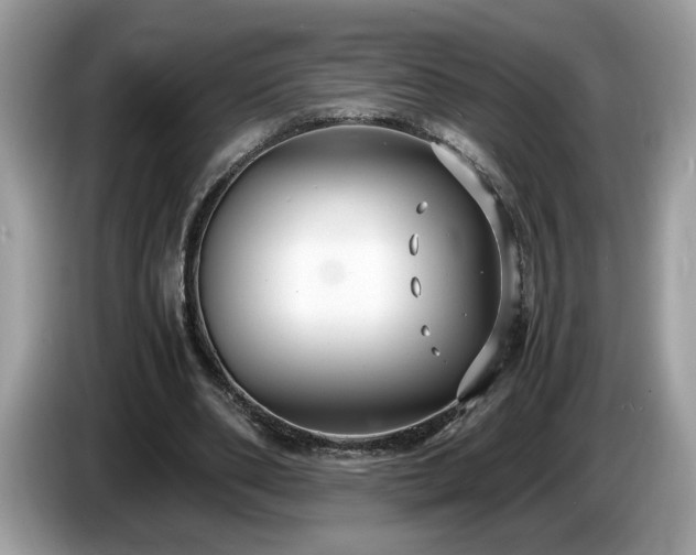 X0000087520486200704271143