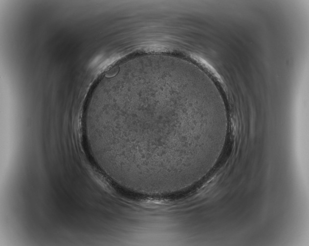 X0000087520487200704271143