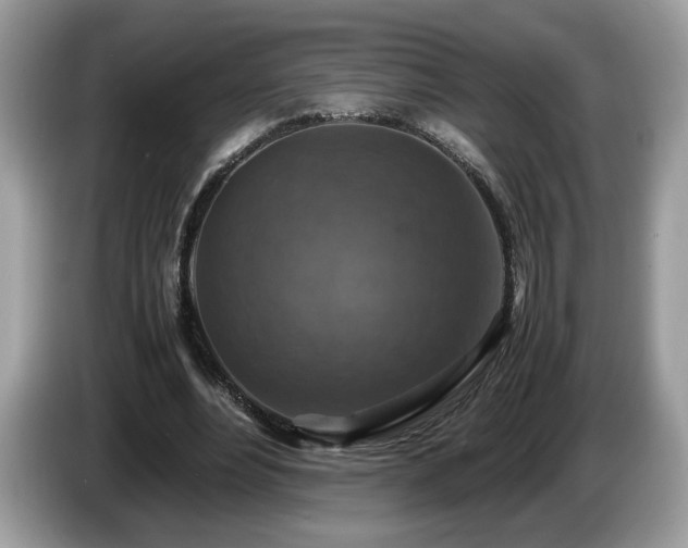 X0000087520488200704271143