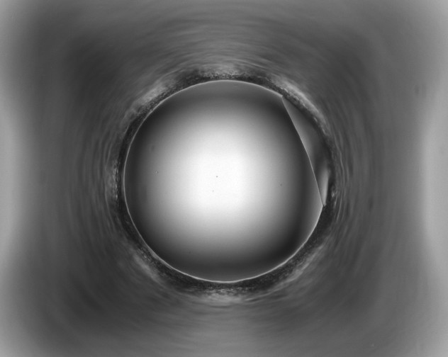 X0000087520489200704271143