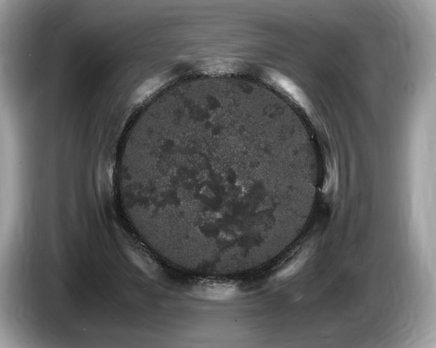 X0000087520491200704271143