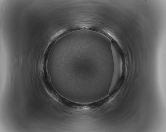X0000087520492200704271143