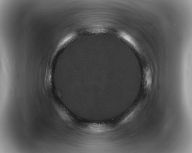 X0000087520494200704271143