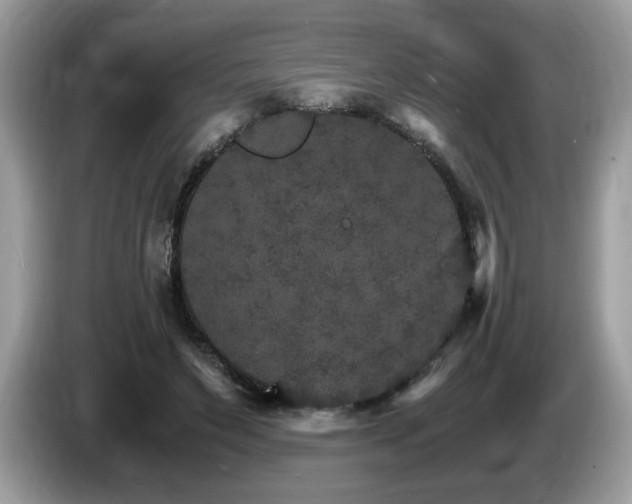 X0000087520495200704271143