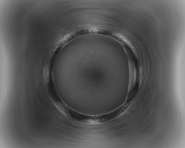 X0000087520496200704271143