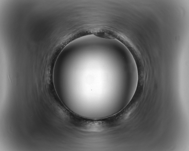 X0000087520497200704271143