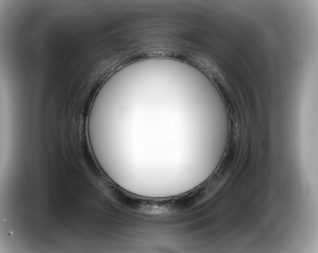 X0000087520498200704271143