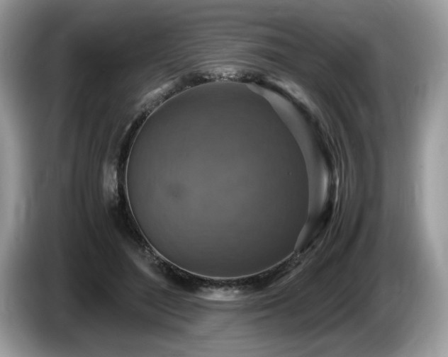 X0000087520500200704271143