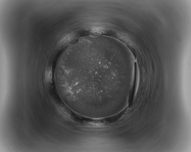 X0000087520502200704271143