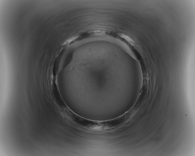 X0000087520504200704271143