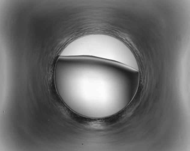 X0000087520505200704271143