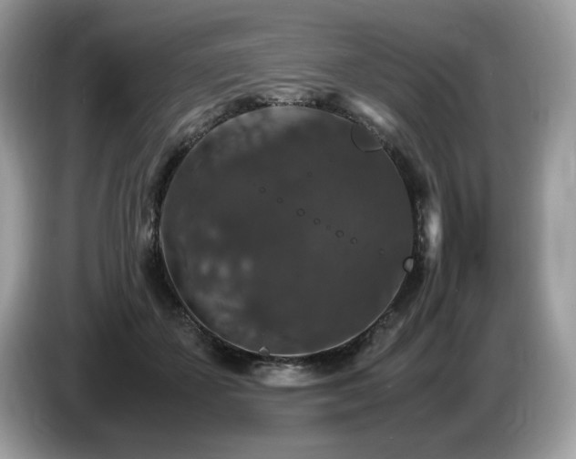 X0000087520507200704271143