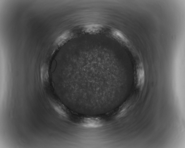 X0000087520508200704271143