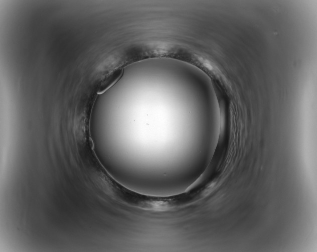 X0000087520509200704271143