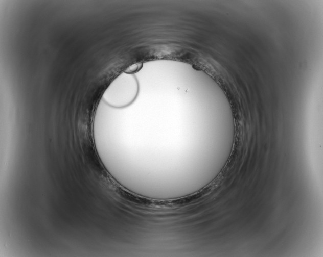 X0000087520510200704271143